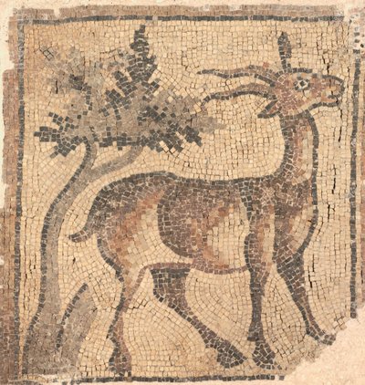 木の近くのラム、400秒 作： Byzantine