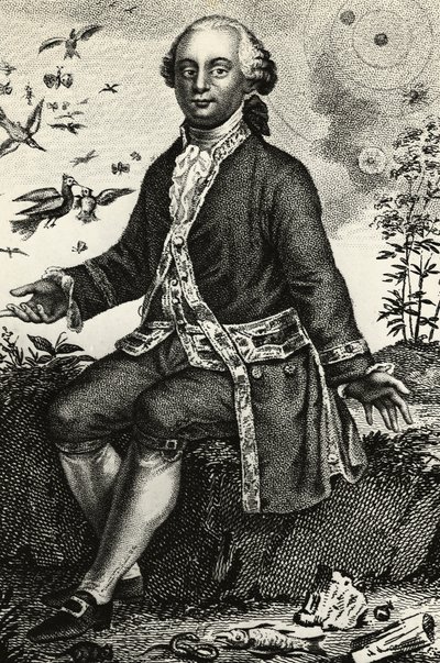 Georges-Louis Leclerc de Buffon (1707-1788) フランスの博物学者・数学者の肖像、エングレービング 作： J.B. and Brown J. Rowbotham