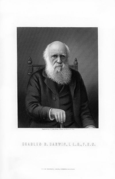 チャールズダーウィン、イギリスの博物学者、1899年。 作： C. Cook