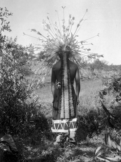 ネイティブ・アメリカンの人々と部族の丸屋根と儀式用衣装、カリフォルニア州 作： C. Hart Merriam
