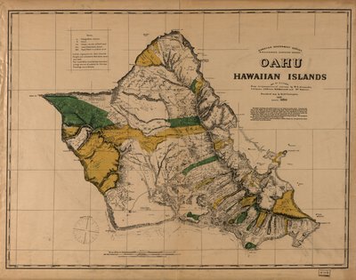オアフ島、ハワイ諸島 作： C. J.; Covington Lyons