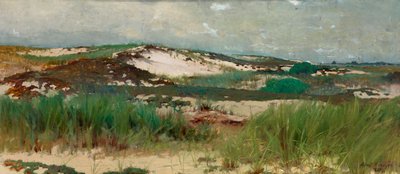 カリフォルニア州ナンタケット砂丘 1890年。 作： C. Morgan McIlhenney