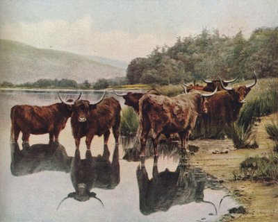 スコットランド、c1930s 作： C. Reid