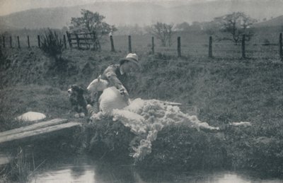 羊の毛刈り、1910 作： C. Reid