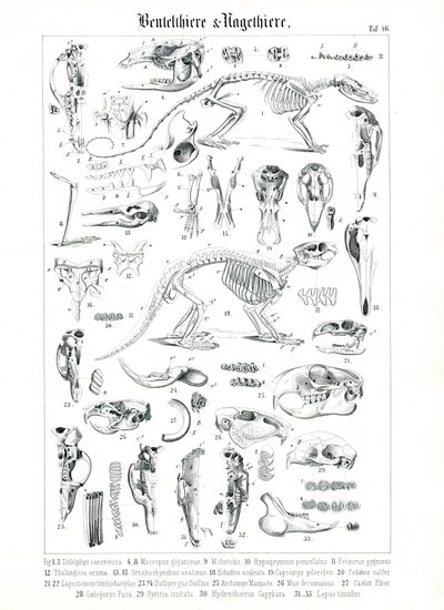  作： 