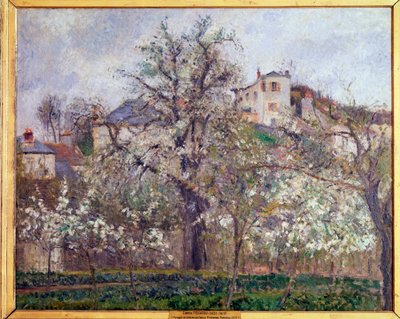 春、ポントワーズの梅の花 - 油彩・キャンバス 作： Camille Jacob Pissarro