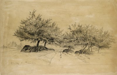 シャイイ、c1859 作： Camille Pissarro