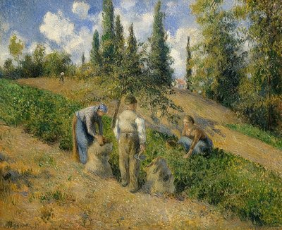 Die Ernte、Pontoise。 -ラ・レコルテ、ポントワーズ。1881 作： Camille Jacob Pissarro