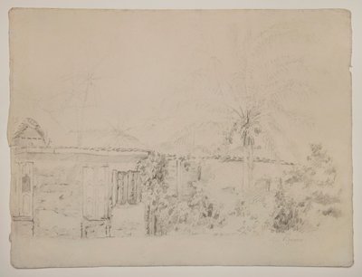家とヤシの木 作： Camille Pissarro