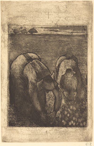 豆畑の農民 作： Camille Pissarro