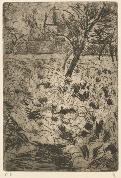 キャベツ畑 作： Camille Pissarro