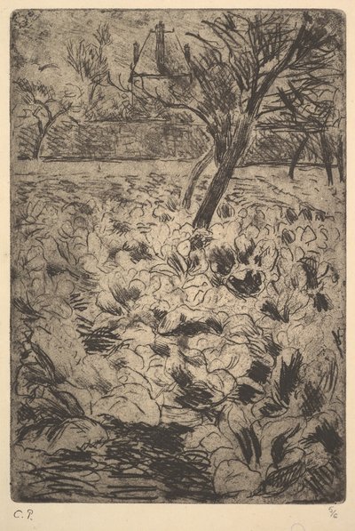 キャベツ畑、ca。 1880 作： Camille Jacob Pissarro