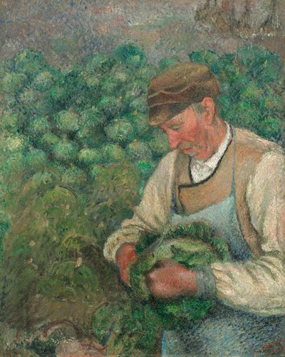 庭師 - キャベツと古い農民 作： Camille Pissarro