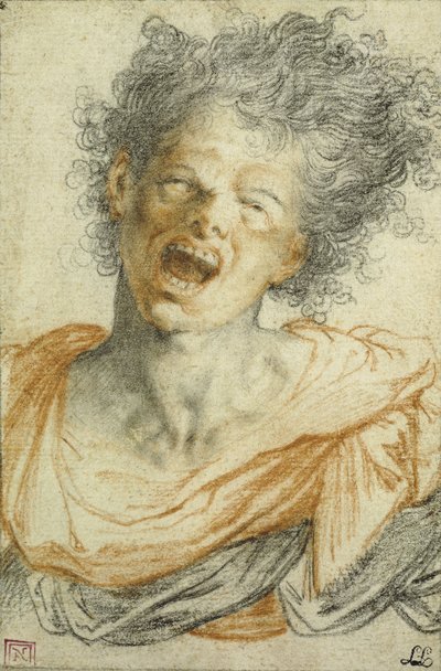 若い男の射撃。 絶叫する青年 作： Camillo Procaccini