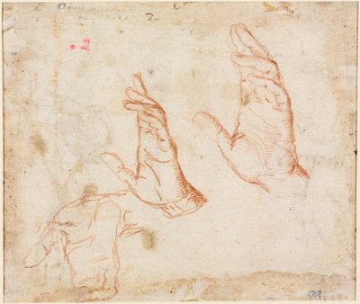 手の研究 (裏面) 作： Camillo Procaccini