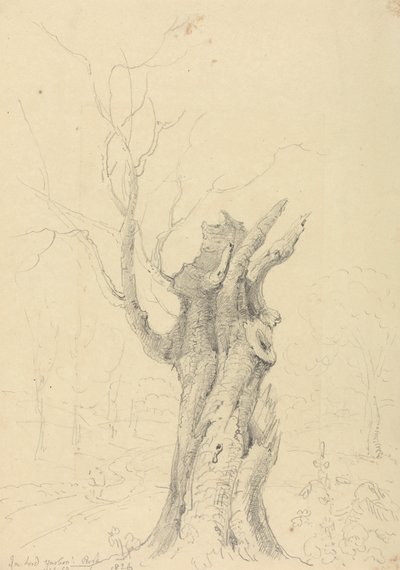 ワイト島、アパルダークーム、ヤーボロー卿の公園内 作： Capt. Thomas Hastings