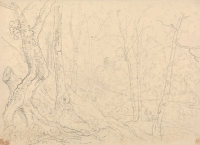 ヘイスティングス近くの養魚池で 作： Capt. Thomas Hastings