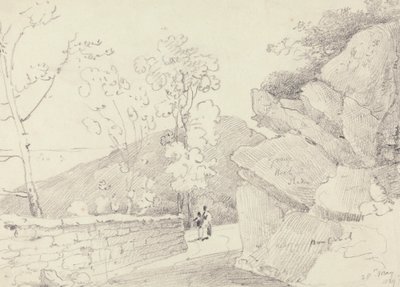 1829 年 5 月 28 日、ワイト島、ボンチャーチ近郊 作： Capt. Thomas Hastings