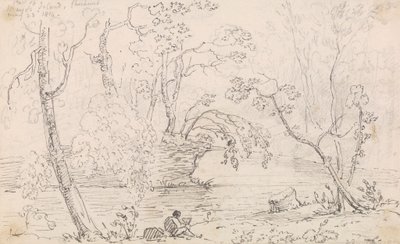 メイヨー島の一部、チェスハント、1814 年 5 月 23 日 作： Capt. Thomas Hastings