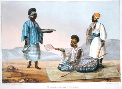 1821年に出版されたDenis Dighton（1792-1827）の彫刻による「Narrative of Travels in Northern Africa in Year 1818-19 and 1820」より、スーダンのネグレス（カラーリトグラフ） 作： Captain George Francis (after) Lyon