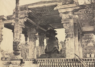グレートパゴダ、グレートブル、正面、タンジョール、インドラジャラヘスヴァーラ寺院、1857年。 作： Captain Linnaeus Tripe