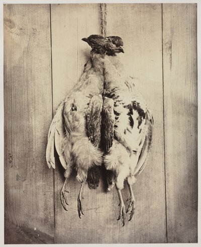 1861年頃、長方形にPartridges、裏面にL.D.Campbell