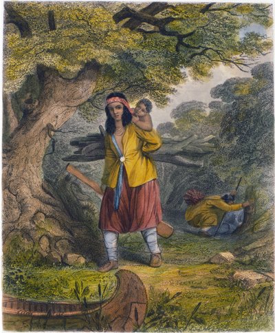 燃料を調達するインドの女性、1853年 作： Captain Seth Eastman