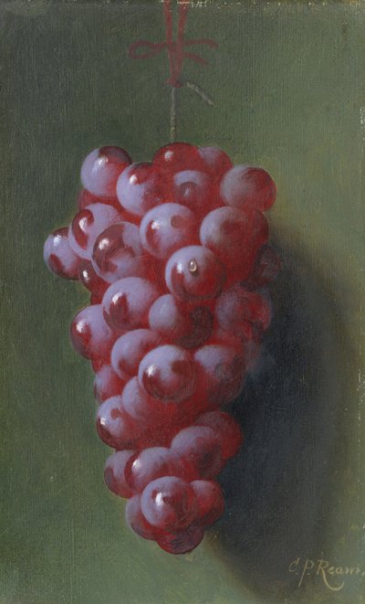 ブドウのある静物。 作： Carducius Plantagenet Ream