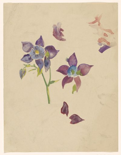 花の研究 作： Carel Adolph Lion Cachet