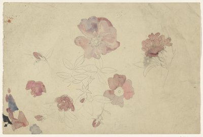 紫とピンクの花の研究 作： Carel Adolph Lion Cachet