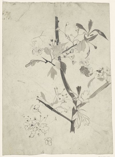 花の枝 作： Carel Adolph Lion Cachet