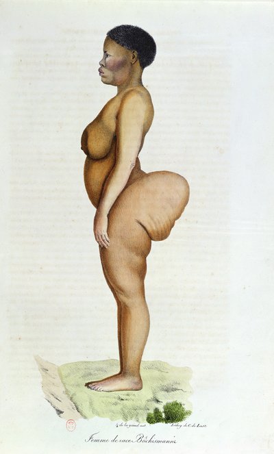 ホッテントットヴィーナス、ブッシュマン女性、「L&39;Histoire Naturelle des Mammiferes」、エティエンヌジェフロワサンティレール（1772-1844）およびフレデリックキュヴィエ（1773-1838）、1824 作： Carel Christian Anthony Last