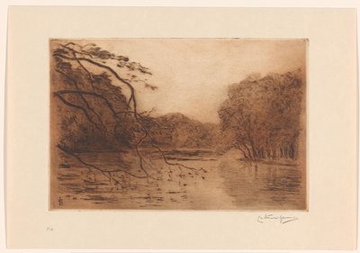 Haagse Bos の池 作： Carel Nicolaas Storm van 