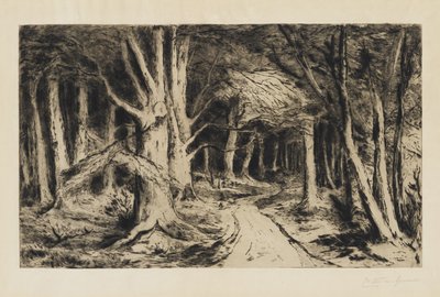森の小道、1885年頃 作： Carel Nicolaas Storm van s Gravesande
