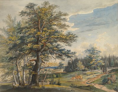 鹿のいる樹木が茂った風景、1800-1877。 作： Carl August Lebschee