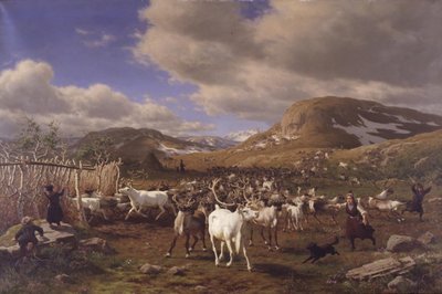 トナカイの群れが搾乳エリアに耕されます。 ローロスの北にある高山のモチーフ 作： Carl Bøgh