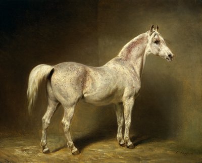 ヘルムートグラーフフォンモルトケの白いアラブの馬、「ベアトリス」、1855 作： Carl Constantin Steffeck