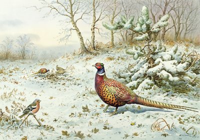コックキジとチャットフィンチ 作： Carl Donner