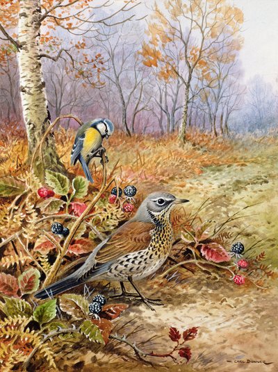フィールドフェアとシジュウカラ 作： Carl Donner
