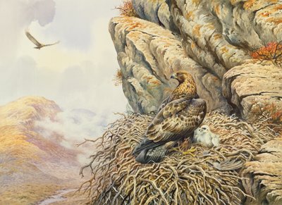 エリーでのゴールデンイーグルス 作： Carl Donner
