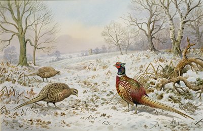 雪景色のキジとヤマウズラ 作： Carl Donner
