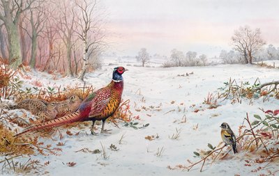 雪の中のキジとキイチゴ 作： Carl Donner