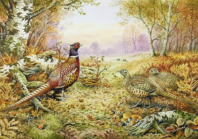 ウッドランドのキジ 作： Carl Donner