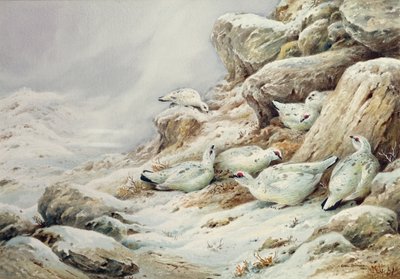 雪に覆われた風景のターミガン 作： Carl Donner