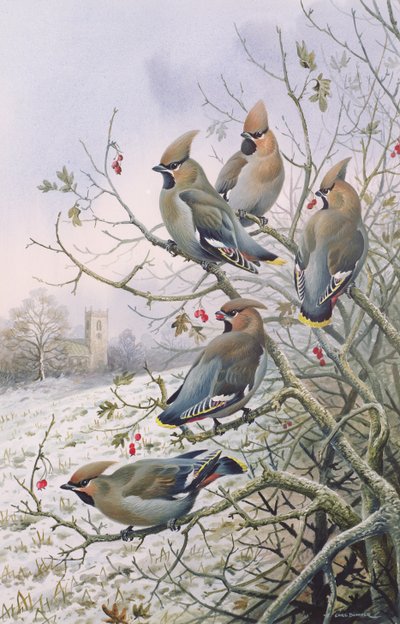 ワックスウィング 作： Carl Donner