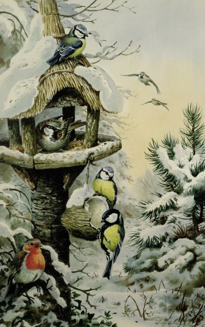 青いシジュウカラ、シジュウカラ、スズメとロビンの冬の鳥のテーブル 作： Carl Donner