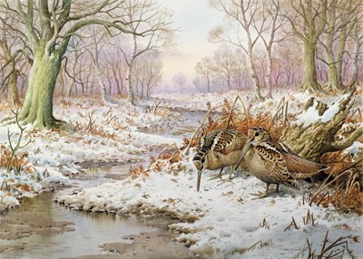 ウッドコック 作： Carl Donner