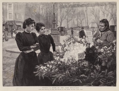 スミレ-パリの並木道の風景」（パリ、シャン・ド・マルスのサロンでの絵画）（リトグラフ 作： Carl Ernest von Stetten