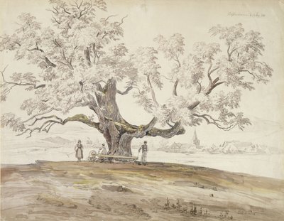 ウォルファースハウゼンバイマイニンゲンとオールドオークツリーの眺め、1844年（紙上グラファイトとトイレ） 作： Carl Ernst Ludwig Wagner