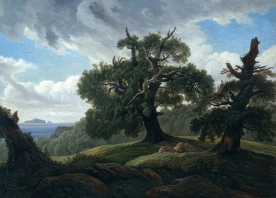 海沿いのオークの木。 1835 作： Carl Gustav Carus
